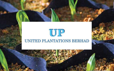 united-plantations_20200224110559_unitedplantations.com_ united-plantations_20200224110559_unitedplantations.com_