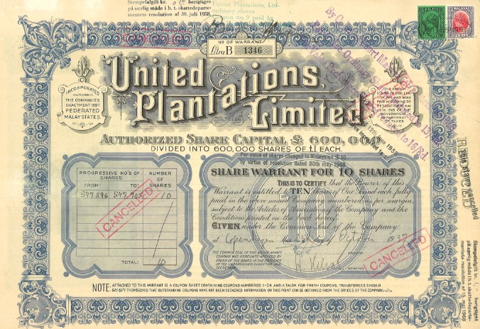 Plantation share price united ANGLO