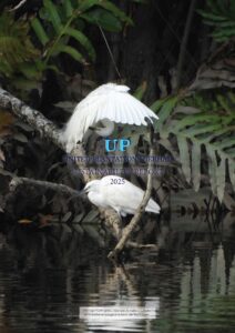 Sustainability_Report_2025_CoverPage